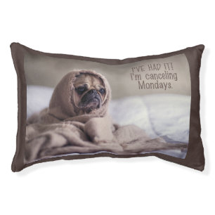 Funny Dog dog beds