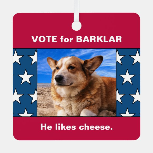 Funny Dog Election 2 Pet Photos USA Flag Stars Red Metal Ornament (Front)