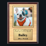 Funny Dog Employee of the Month Custom Photo Award Plaque<br><div class="desc">Funny Dog Employee of the Month Custom Photo Award</div>