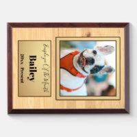 Photo Inserted] Pet Memorial Plaque - Custom Horizontal Acrylic