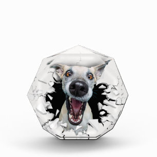 Funny dog face acrylic award
