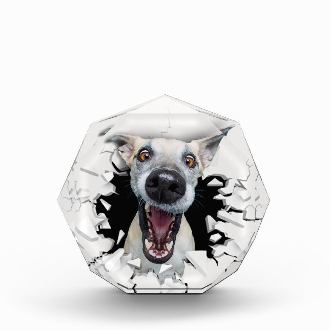 Funny dog face  acrylic award (Front)
