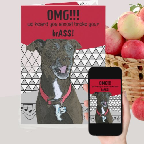 Funny Dog Get Well for Brass Instrument Musician Card