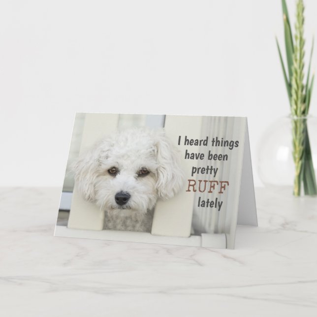 Funny Dog Get Well Soon Ruff Pun Cute Motivational Card (Front)