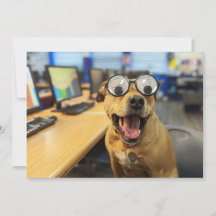 Funny Dog Googly Eyes, colorful, happy Photo Card