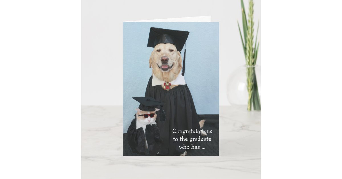 Funny Dog Graduation Card