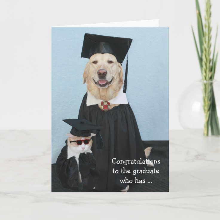 Funny Dog Graduation Card Zazzle