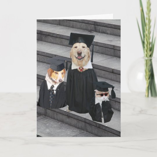 Funny Dog Graduation Card