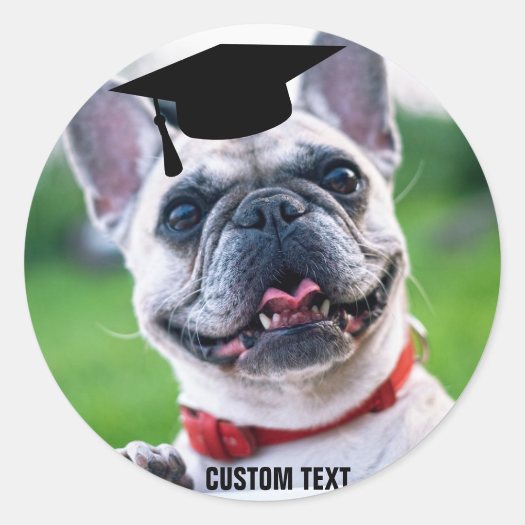 Funny Dog Graduation French Bulldog Photo Classic Round Sticker Zazzle