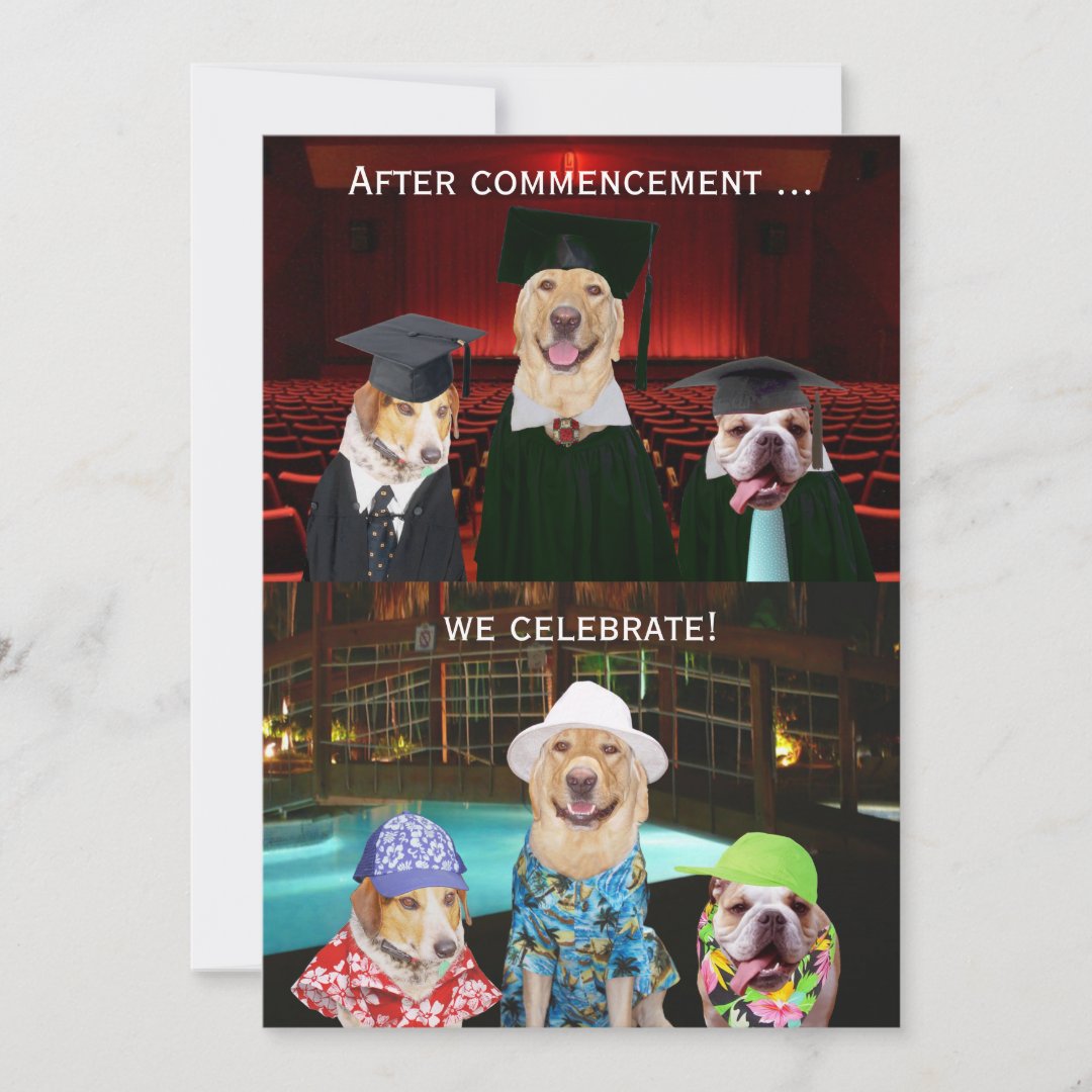 Funny Dog Graduation Party Invitation Zazzle