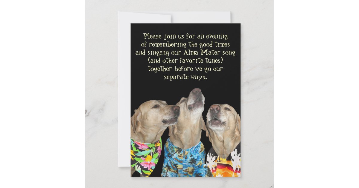 Funny Dog Graduation Party Invitation | Zazzle