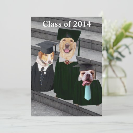 Funny Dog Graduation Party Invitation Zazzle