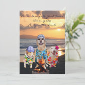 Funny Dog Graduation Party on the Beach Invitation (Standing Front)