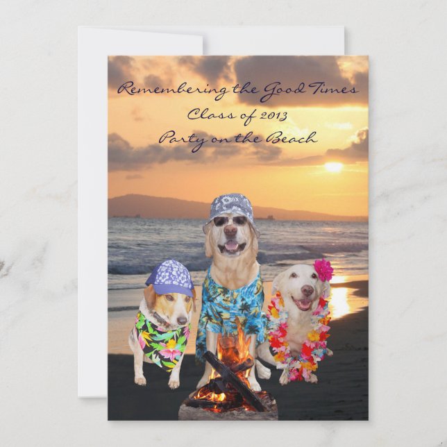 Funny Dog Graduation Party on the Beach Invitation (Front)
