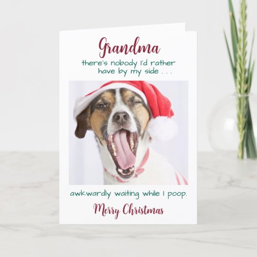 Funny Dog Grandma Custom Pet Photo Merry Christmas Holiday Card