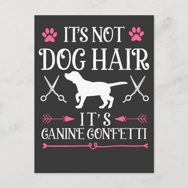 Dog Grooming Quotes: Inspiring Care for Your Pup