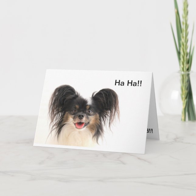 Funny Dog, Ha ha, You're Old Birthday Card (Front)