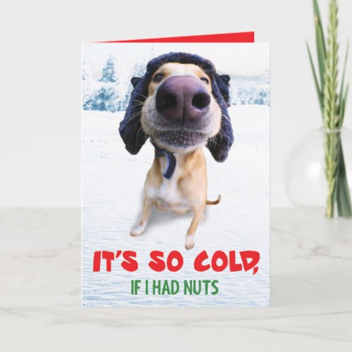 Funny Dog Holiday Card Teddy the Spaz Man