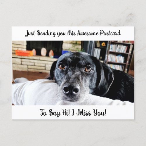 Funny Dog I Miss YOU Saying Hi  Postcard
