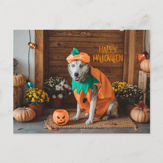 Funny Dog in Halloween Costume  Holiday Postcard (Front)