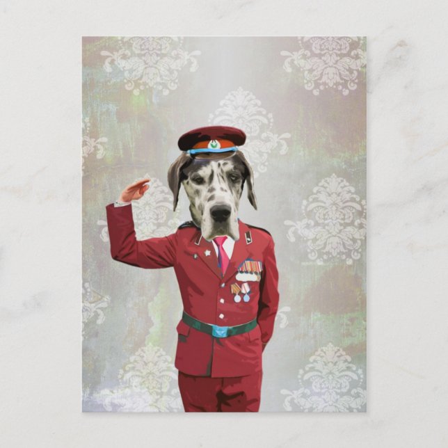 Funny dog in red uniform postcard (Front)