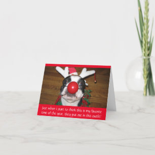 Funny Dog in Rudolph Nose Christmas Holiday Card