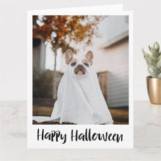 Funny Dog in Sheet Ghost Costume Halloween Card