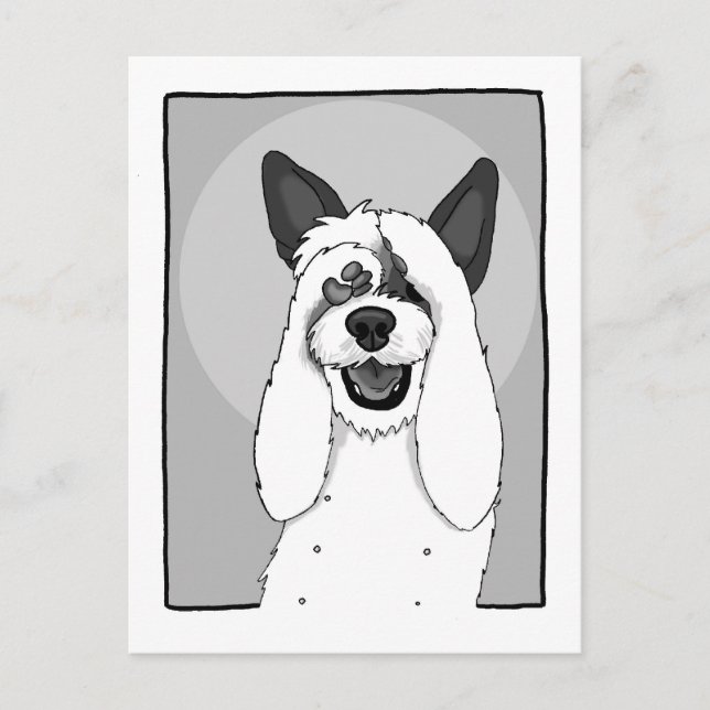 Funny Dog IV Postcard (Front)