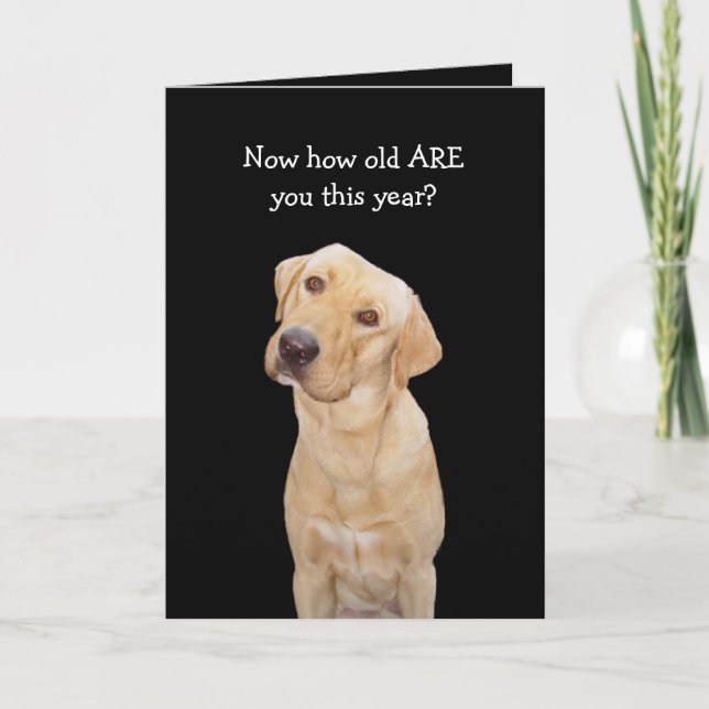 Funny Dog/Lab Birthday Card (Front)