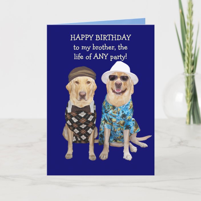 Funny Dog/Lab Birthday for Brother Card | Zazzle.com