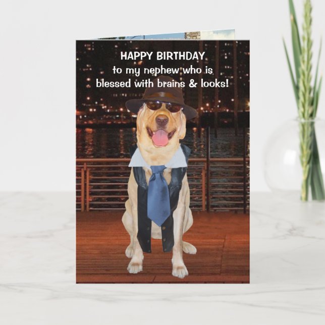 Funny Dog/Lab Birthday for Nephew Card (Front)