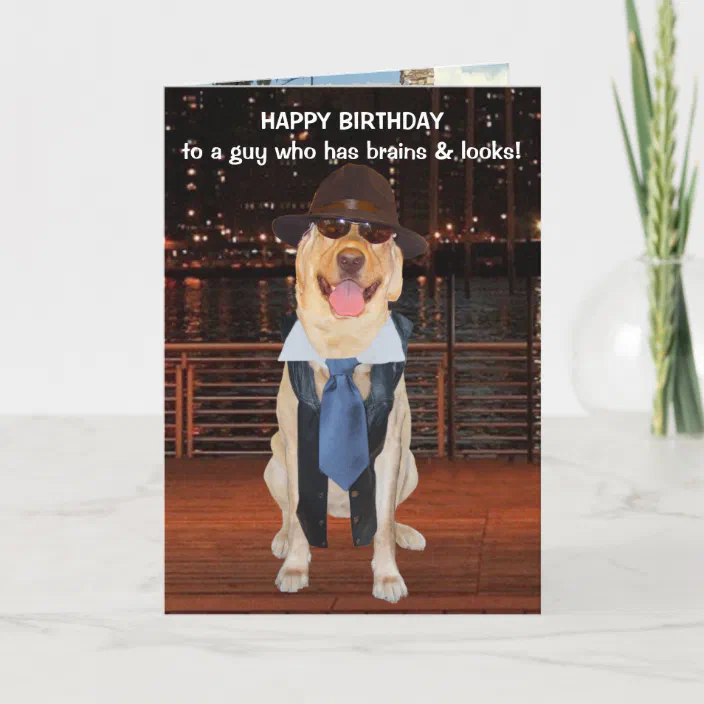 Happy Birthday Nephew Images Funny Funny Dog/Lab Birthday For Son Or Nephew Card | Zazzle.com