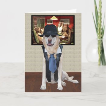 Funny Dog/lab Birthday To A Cool Guy Card by myrtieshuman at Zazzle