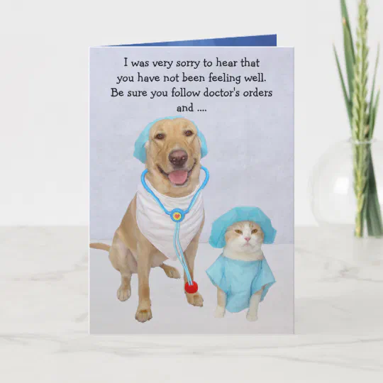 Funny Dog Lab Cat Get Well Card Zazzle Com