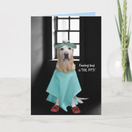 Funny Dog/Lab Get Well Card