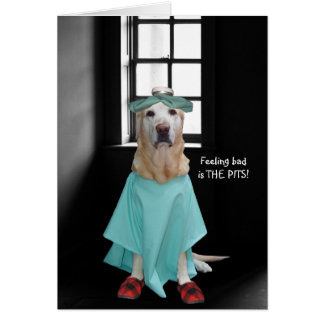 Funny Dog/Lab Get Well Card