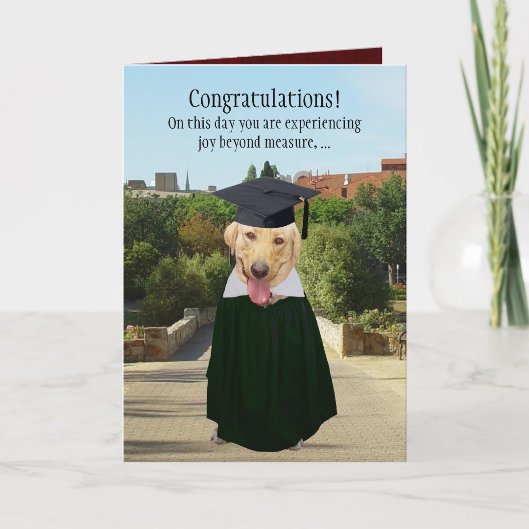 Funny Dog/Lab Graduation Card | Zazzle