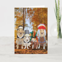 Funny Dog/Lab/Hound Pilgrims and Indians Holiday Card