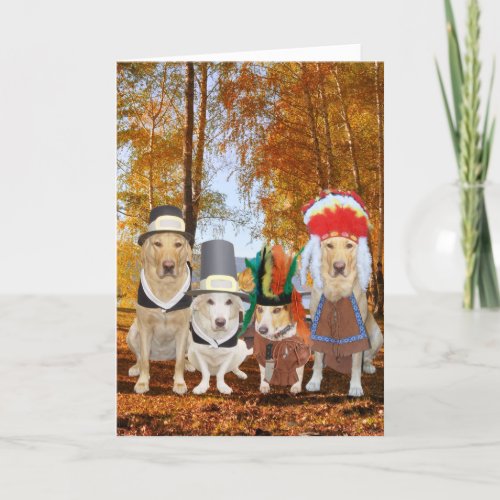 Funny DogLabHound Pilgrims and Indians Holiday Card