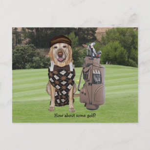 Funny Dog/Lab on Golf Course Postcard
