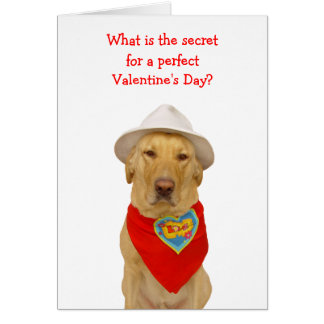 Funny Lab Valentine Cards | Zazzle