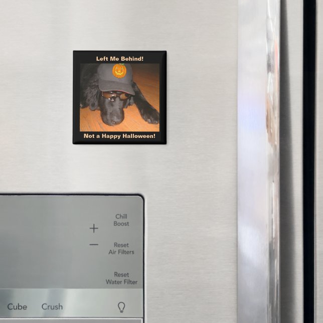 Funny Dog Left Behind This Halloween Magnet (In Situ (Fridge))