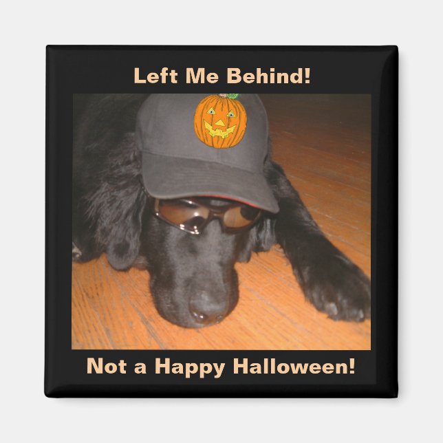 Funny Dog Left Behind This Halloween Magnet (Front)