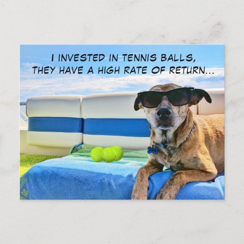 Funny Dog Love Tennis Balls Vacation Retirement   Postcard