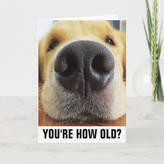 FUNNY DOG LOVER BIRTHDAY CARDS, OVER THE HILL CARD (Front)