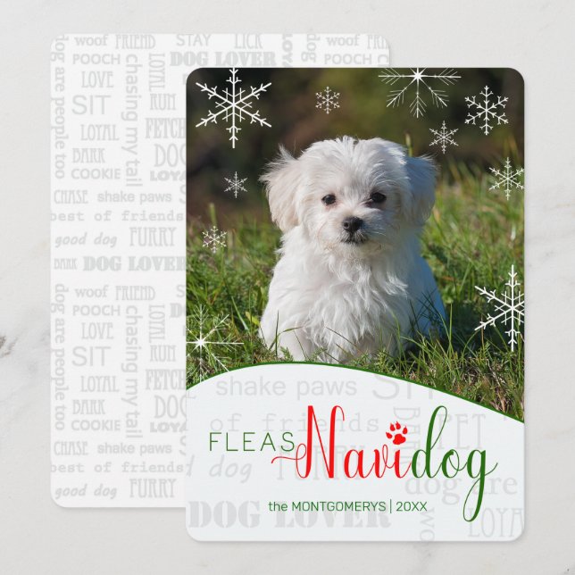  Funny Dog Lover Fleas NaviDOG Christmas Photo Holiday Card (Front/Back)