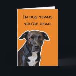 Funny Dog Lovers Birthday - In Dog Years Card<br><div class="desc">This funny card is perfect for the dog lover in your life.  You can make it even funnier by signing the dogs name to the card.</div>