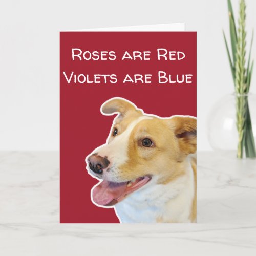 Funny Dog Lovers Cute Valentines Day Card
