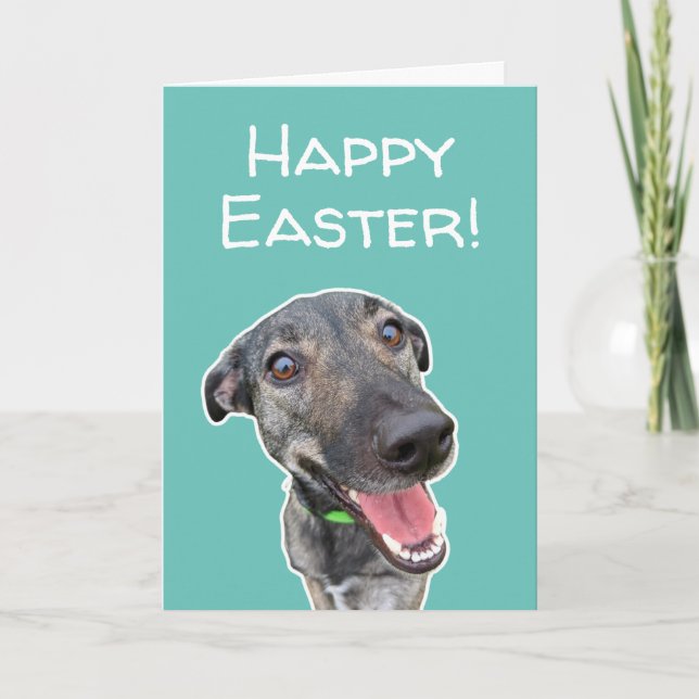 Funny Dog Lovers Easter Card (Front)