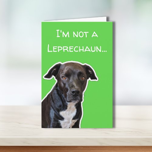 Funny Dog Lovers St Patricks Day Card